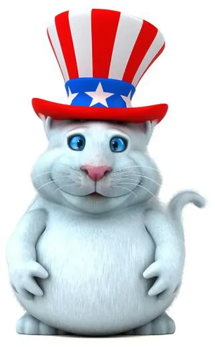Framed Print : Fun 3D cartoon cat with an uncle sam hat Framed Print : Fun 3D cartoon cat with an uncle sam hat