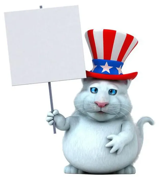 Framed Print : Fun 3D cartoon cat with an uncle sam hat Framed Print : Fun 3D cartoon cat with an uncle sam hat