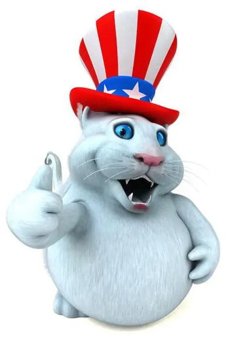 Framed Print : Fun 3D cartoon cat with an uncle sam hat Framed Print : Fun 3D cartoon cat with an uncle sam hat