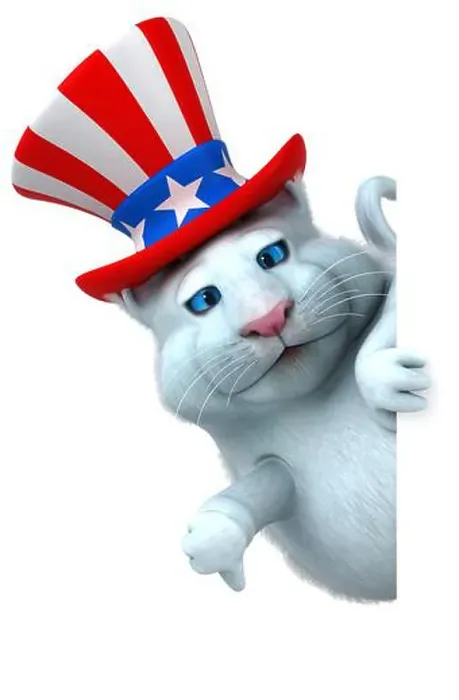 Framed Print : Fun 3D cartoon cat with an uncle sam hat Framed Print : Fun 3D cartoon cat with an uncle sam hat