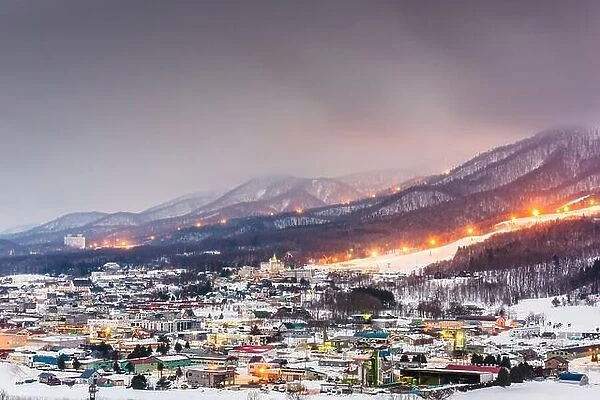 Furano, Hokkaido, Japan town skyline in winter at twilight