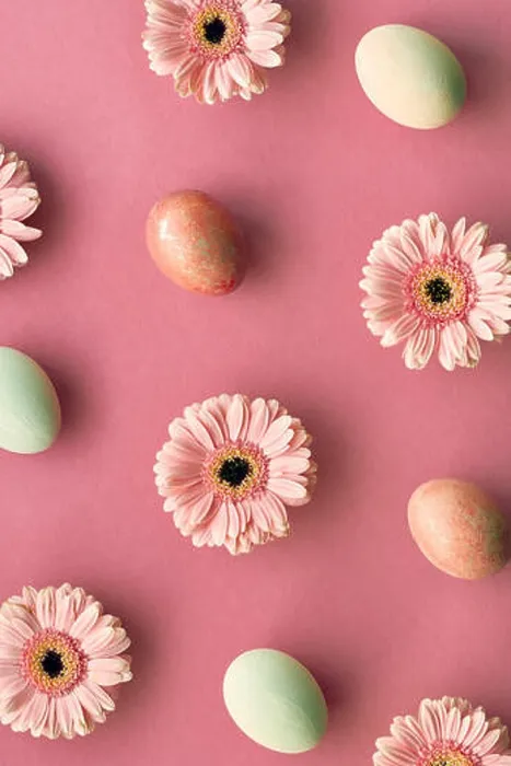Framed Print : Geometrid diagonal Easter flat lay in coral color with painted eggs and gerbera daisy flowers Framed Print : Geometrid diagonal Easter flat lay in coral color with painted eggs and gerbera daisy flowers