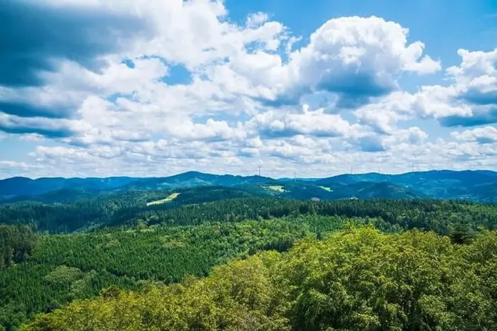 Framed Print : Germany, Aerial panorama nature landscape drone view above schwarzwald tree tops Framed Print : Germany, Aerial panorama nature landscape drone view above schwarzwald tree tops