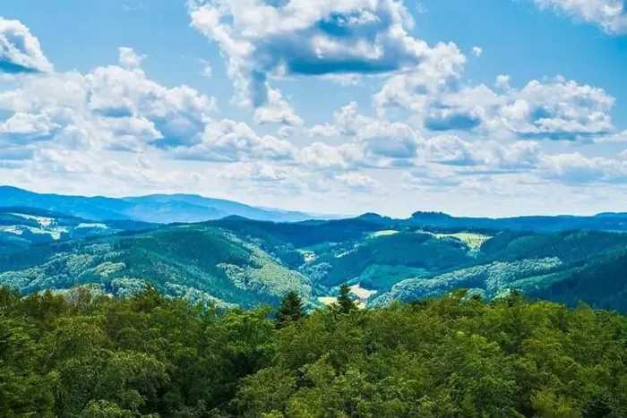 Framed Print : Germany, Beautiful aerial panorama drone nature landscape view above schwarzwald trees Framed Print : Germany, Beautiful aerial panorama drone nature landscape view above schwarzwald trees