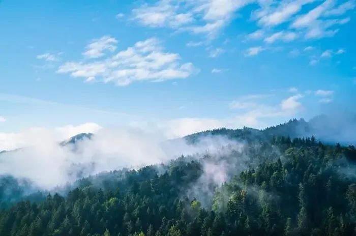 Framed Print : Germany, panorama schwarzwald forest nature landscape baden freiburg im breisgau misty foggy atmosphere sunrise aerial Framed Print : Germany, panorama schwarzwald forest nature landscape baden freiburg im breisgau misty foggy atmosphere sunrise aerial