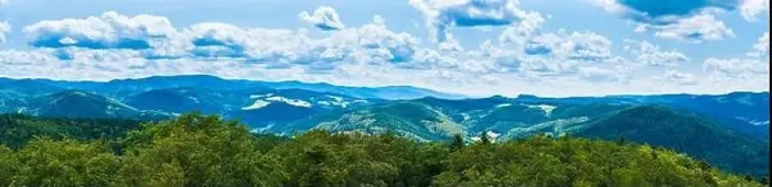 Framed Print : Germany, XXL aerial panorama nature scenery view above schwarzwald tree tops Framed Print : Germany, XXL aerial panorama nature scenery view above schwarzwald tree tops