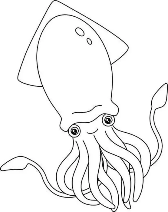Framed Print : Giant Squid Coloring Page Isolated for Kids Framed Print : Giant Squid Coloring Page Isolated for Kids