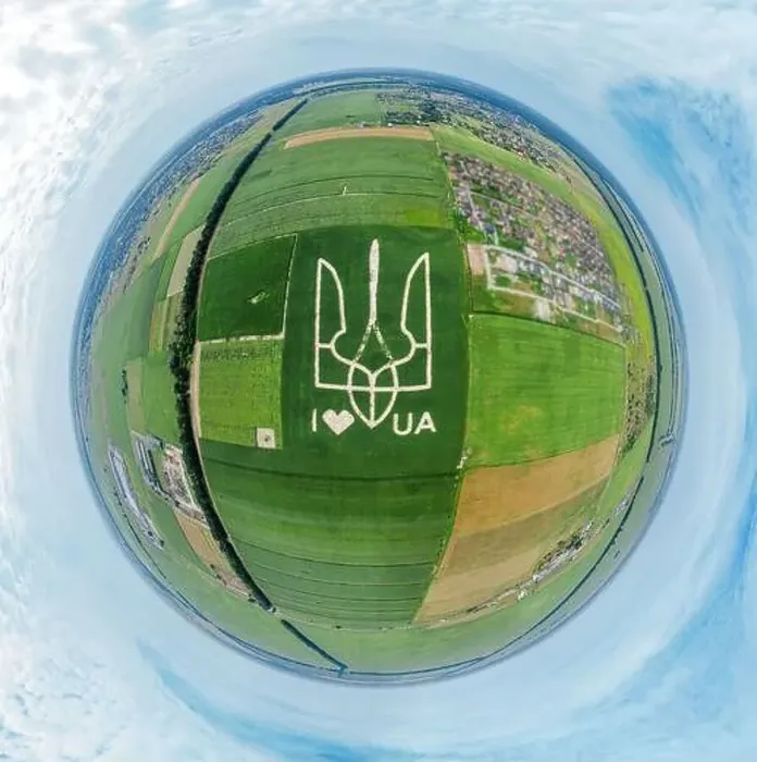 Framed Print : Giant symbol of the country of Ukraine is a trident created by corn sprouts in a corn field Framed Print : Giant symbol of the country of Ukraine is a trident created by corn sprouts in a corn field