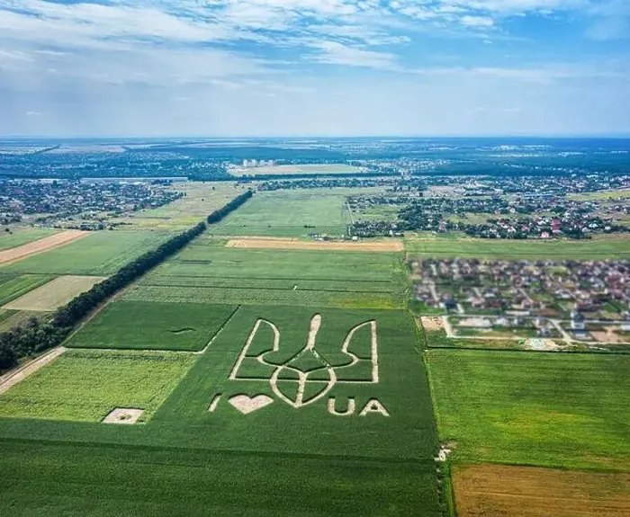 Framed Print : Giant symbol of the country of Ukraine is a trident created by corn sprouts in a corn field Framed Print : Giant symbol of the country of Ukraine is a trident created by corn sprouts in a corn field
