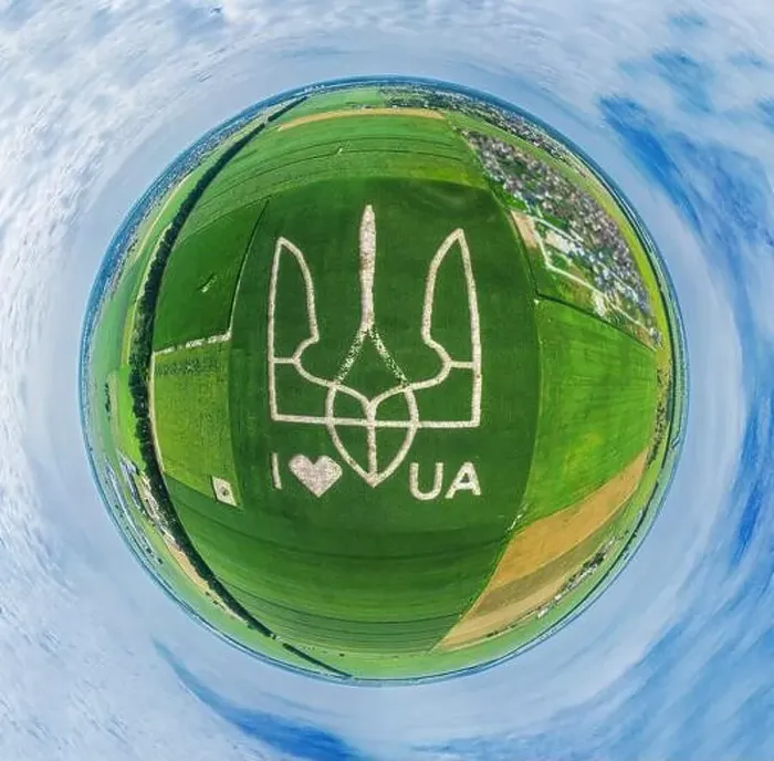 Framed Print : Giant symbol of the country of Ukraine is a trident created by corn sprouts in a corn field
