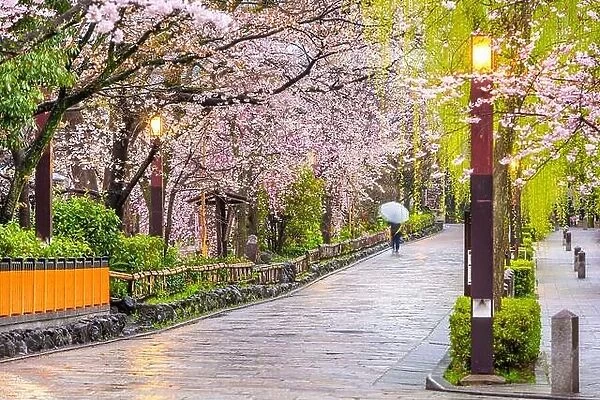 Gion Shirakawa, Kyoto, Japan old town streets in spring