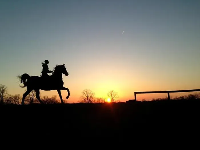 Framed Print : Girl riding saddlebred horse in sunset Framed Print : Girl riding saddlebred horse in sunset