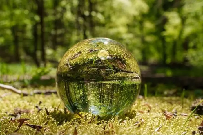 Framed Print : A glass ball rests on the forest floor surrounded by trees Framed Print : A glass ball rests on the forest floor surrounded by trees