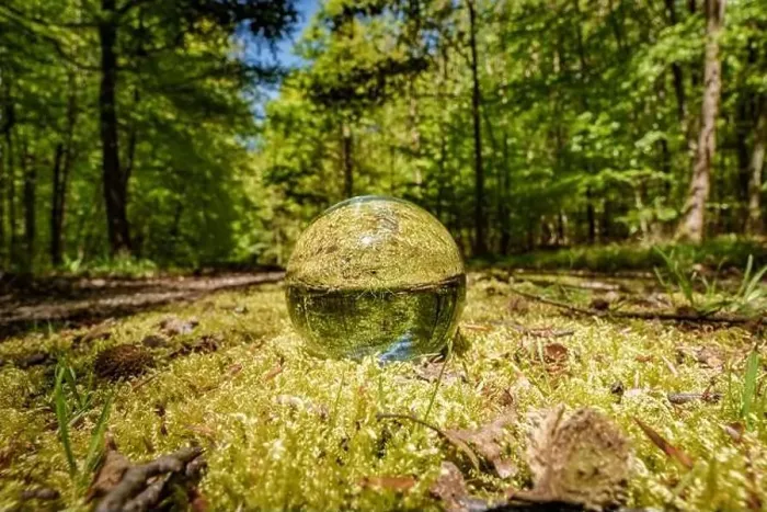 Framed Print : A glass ball rests on the forest floor surrounded by trees Framed Print : A glass ball rests on the forest floor surrounded by trees