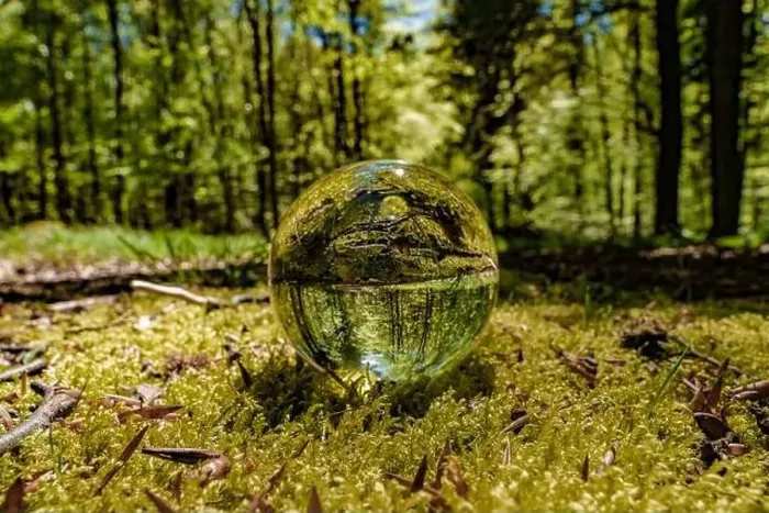 Framed Print : A glass ball rests on the forest floor surrounded by trees Framed Print : A glass ball rests on the forest floor surrounded by trees