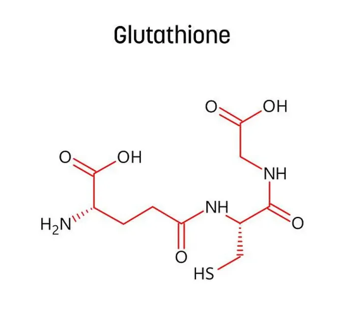Framed Print : Glutathione molecular structure Framed Print : Glutathione molecular structure