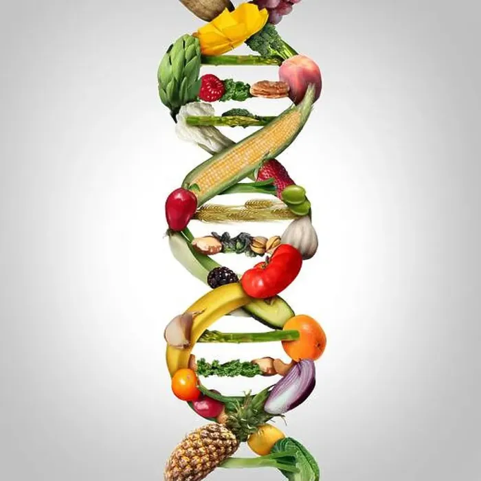 Framed Print : GMO food and Genetically modified crops or engineered agriculture concept using biotechnology Framed Print : GMO food and Genetically modified crops or engineered agriculture concept using biotechnology