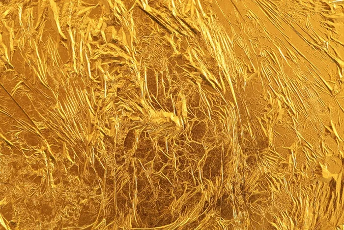 Framed Print : Gold leaf Framed Print : Gold leaf