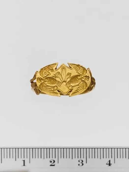 Framed Print : Gold ring ca. late 6th–early 5th century B Framed Print : Gold ring ca. late 6th–early 5th century B