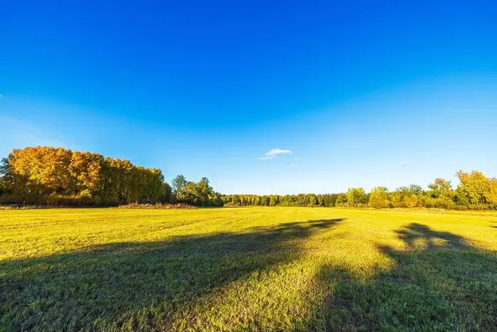 Framed Print : Golden autumn field with colorful trees under clear blue sky on sunny day. Sweden Framed Print : Golden autumn field with colorful trees under clear blue sky on sunny day. Sweden