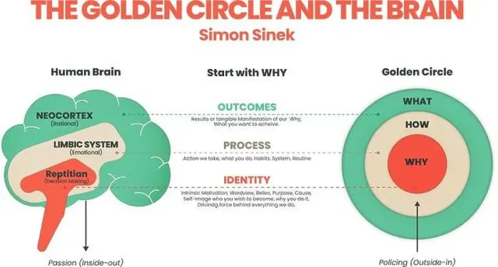 Framed Print : The Golden Circle and brain illustration of Simon Sinek has 3 elements starting with Why question Framed Print : The Golden Circle and brain illustration of Simon Sinek has 3 elements starting with Why question