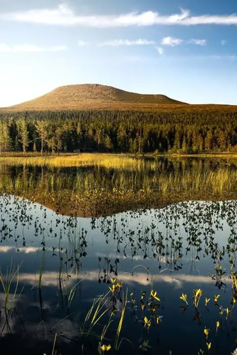 Framed Print : Golden hour, Städjan mountain showcases its symmetrical reflection in the serene lake surrounded by lush greenery Framed Print : Golden hour, Städjan mountain showcases its symmetrical reflection in the serene lake surrounded by lush greenery