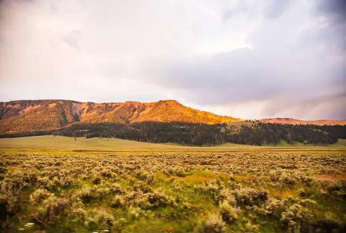 Framed Print : Golden light over hills over Lamar Valley's vast landscape Framed Print : Golden light over hills over Lamar Valley's vast landscape