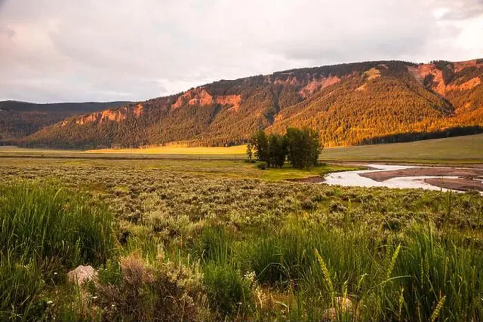 Framed Print : Golden sunlight over Lamar Valley with vibrant hills and serene river Framed Print : Golden sunlight over Lamar Valley with vibrant hills and serene river