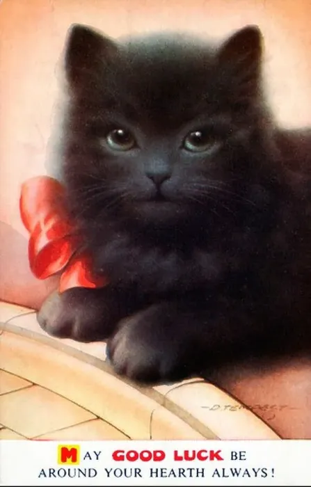 Framed Print : Good Luck Cat 1950s postcard with a lucky black cat to the fore and a pretty red silk bow to complete the ensemble Framed Print : Good Luck Cat 1950s postcard with a lucky black cat to the fore and a pretty red silk bow to complete the ensemble