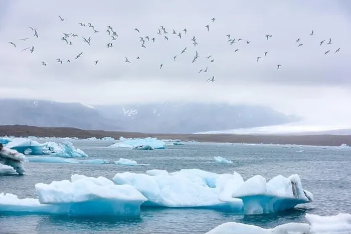 Framed Print : Gorgeous evening landscape with floating icebergs and birds in Jokulsarlon glacier lagoon, Iceland Framed Print : Gorgeous evening landscape with floating icebergs and birds in Jokulsarlon glacier lagoon, Iceland