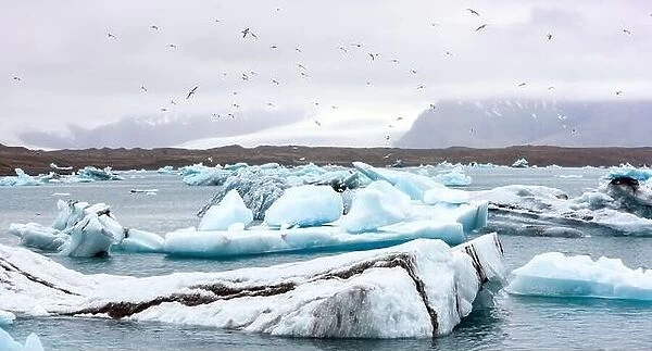 Gorgeous landscape with floating icebergs in Jokulsarlon glacier lagoon, Iceland