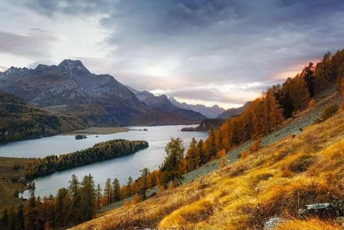 Framed Print : Gorgeous view on autumn lake Sils (Silsersee) in Swiss Alps mountains. Colorful forest with orange larch. Switzerland, Maloja region, Upper Engadine Framed Print : Gorgeous view on autumn lake Sils (Silsersee) in Swiss Alps mountains. Colorful forest with orange larch. Switzerland, Maloja region, Upper Engadine