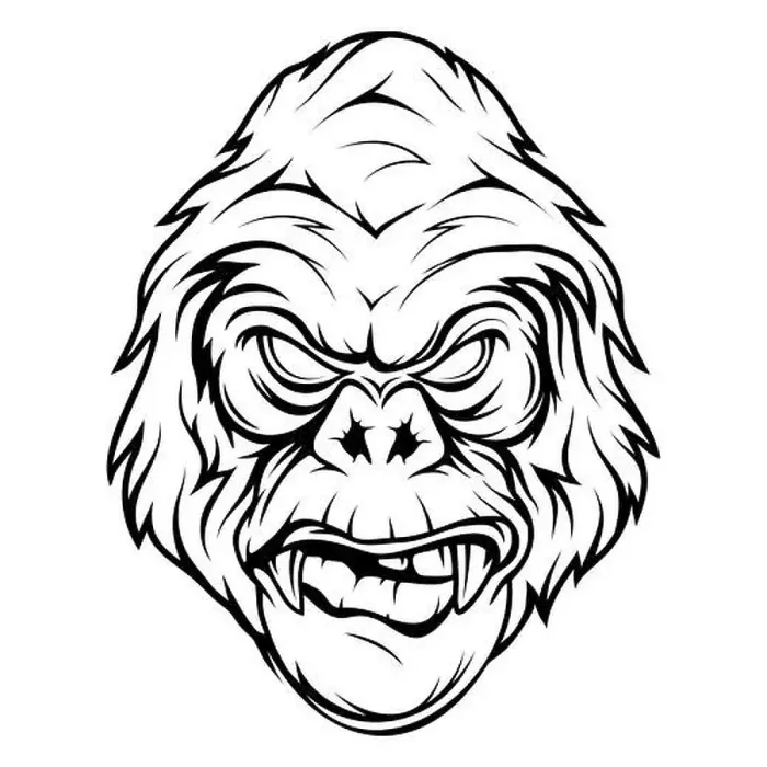 Framed Print : Gorilla. Vector illustration of primates. Sketch of an angry gorilla head Framed Print : Gorilla. Vector illustration of primates. Sketch of an angry gorilla head