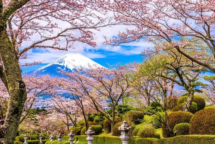 Framed Print : Gotemba City, Japan at Peace Park with Mt. Fuji in spring season Framed Print : Gotemba City, Japan at Peace Park with Mt. Fuji in spring season