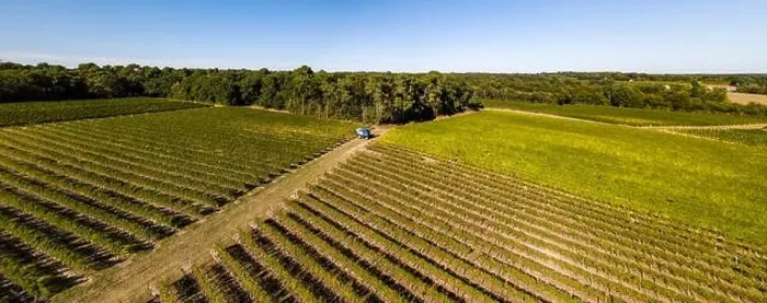 Framed Print : Grape harvesting machine, Aerial view of Wine country harvesting grape with harvester machine