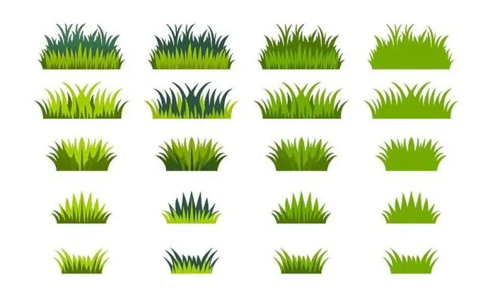 Framed Print : Grass vector. On a white background