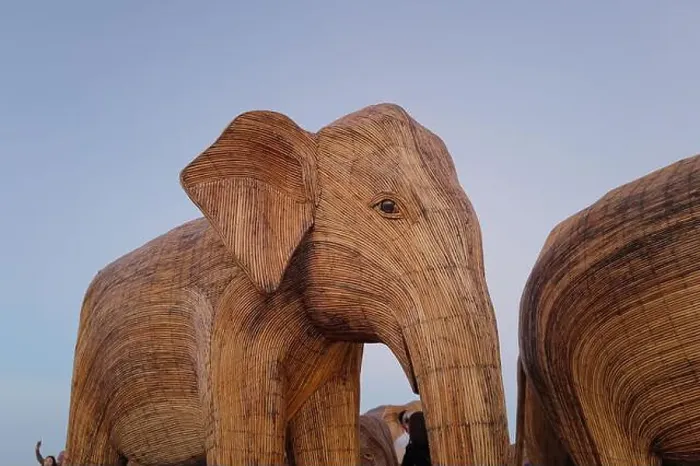 Framed Print : The Great Elephant Migration is a captivating public art installation that graced Miami Beach in fall Framed Print : The Great Elephant Migration is a captivating public art installation that graced Miami Beach in fall