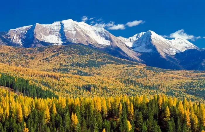 Framed Print : great northern mountain and mount grant in the flathead range above foothills of autumn larch near hungry horse, montana Framed Print : great northern mountain and mount grant in the flathead range above foothills of autumn larch near hungry horse, montana