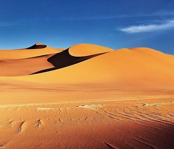 Great sand dunes of Sahara Desert at sunset in Algeria