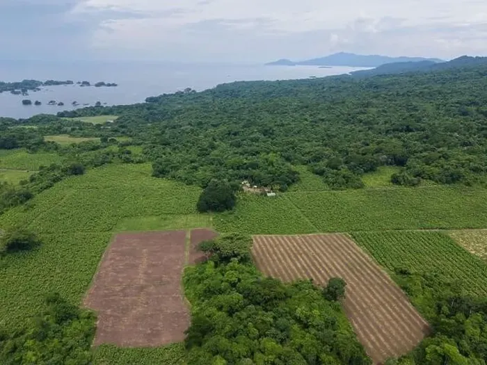 Framed Print : Green agricultural field next to coast aerial drone view Framed Print : Green agricultural field next to coast aerial drone view