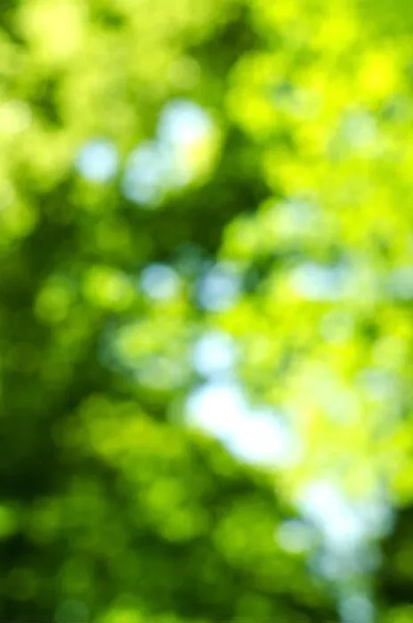 Framed Print : Green blur background of trees and sky Framed Print : Green blur background of trees and sky