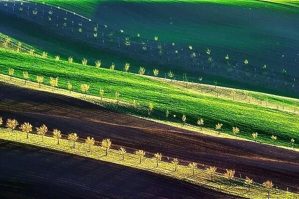 Green, brown and yellow waves of the agricultural fields of South Moravia, Czech Republic. Rural spring landscape with colored striped hills with