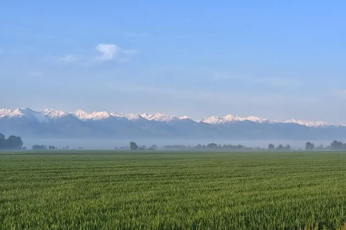 Framed Print : Green field against foggy forest and snowy mountains in the background Framed Print : Green field against foggy forest and snowy mountains in the background