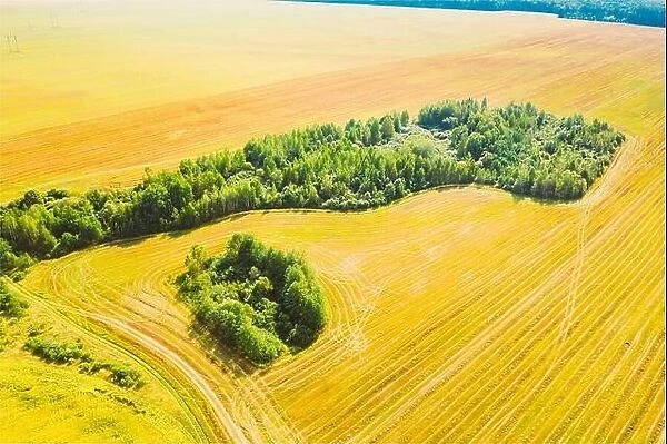 Green Forest Island With Green Grass, Forest In Summer Rural Field. Aerial View Of Summer Hay Landscape. Harvest Season Time. Cut Dry Grass Turned