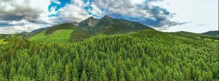 Framed Print : Green forest and Tatras Mountains in summer. Drone Panorama