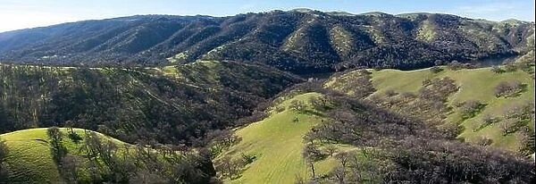Green grass and oak trees cover the rolling hills and valleys of the Tri-valley area of Northern California, just east of San Francisco Bay