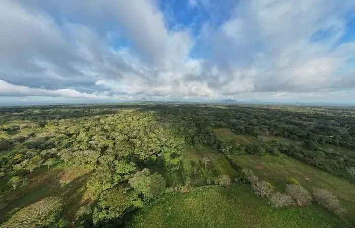 Framed Print : Green jungle landscape background aerial drone view Framed Print : Green jungle landscape background aerial drone view