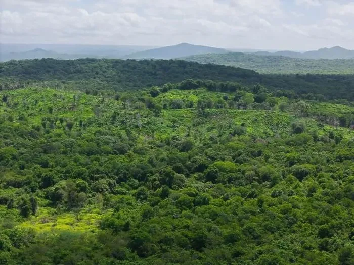Framed Print : Green jungle landscape background aerial drone view Framed Print : Green jungle landscape background aerial drone view