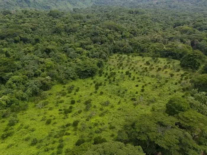 Framed Print : Green meadow landscape in jungle background aerial drone view Framed Print : Green meadow landscape in jungle background aerial drone view
