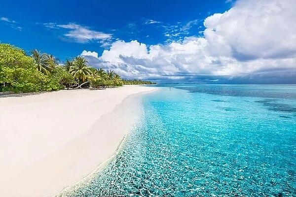 Green palm tree on white sand beach, exotic landscape. Amazing sea water, ripples, cloudy sky. Dream vacation summer holiday travel exotic, beach